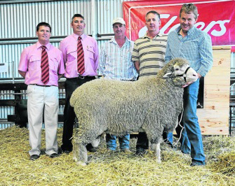 2013 Moorunide Poll Merino On Property Sale